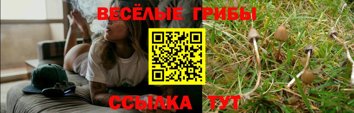 Галлюциногенные грибы MAGIC MUSHROOMS  Вход с VPN  Саров 